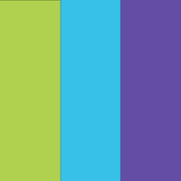 Assort 3 Kiwi Blue Purple (Qualatex)
