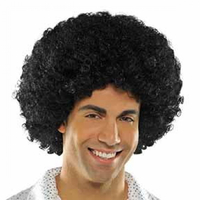 Afro Black 70's Wig x1