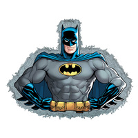 Batman Heroes Unite 2D Shape Empty Pinata