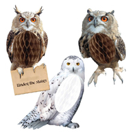 Harry Potter Halloween Hanging Honeycomb Owl Decorations 3 Pack