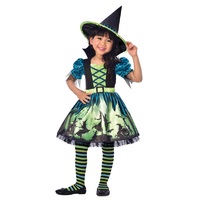 Halloween Hocus Pocus Witch Girls Costume 4-6 Years Old