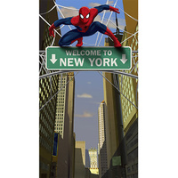 Spiderman Hero Door Banner