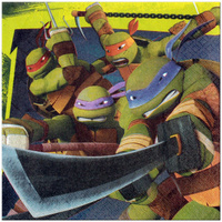 TMNT Teenage Mutant Ninja Turtles Lunch Napkins 16 Pack