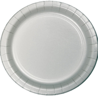 Shimmering Silver Plates 24 Pack