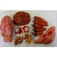 Halloween Meat Market Value Pack Body Parts Decorations Plastic