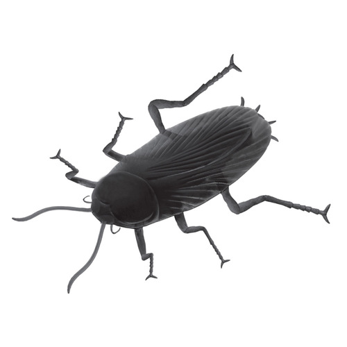 Halloween Giant Cockroach Prop