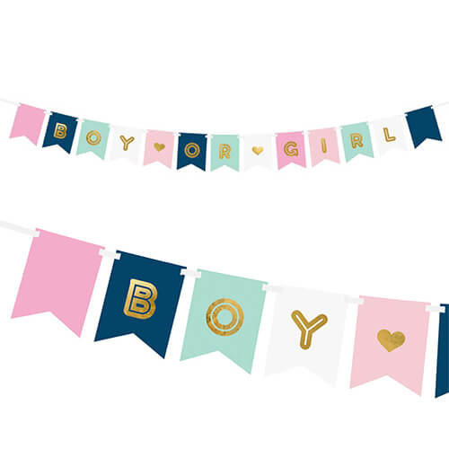 Gender Reveal Boy or Girl Banner