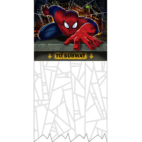Spiderman Party Supplies Hero Doorway Curtain