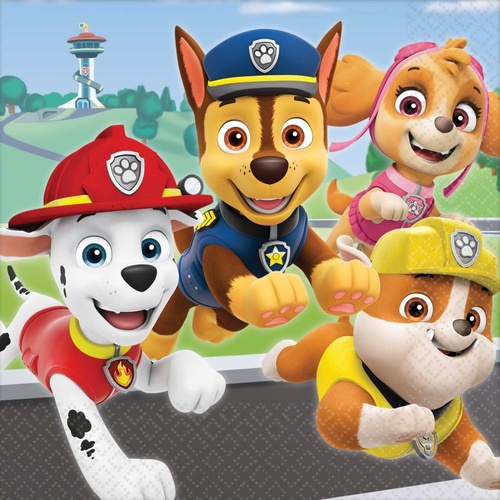 Paw Patrol Adventures Lunch Napkins 16 Pack