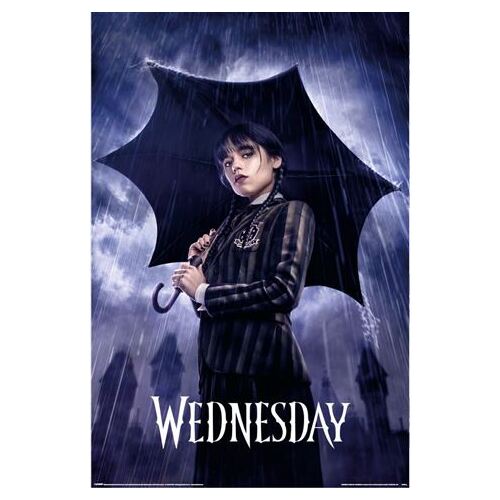 Wednesday Downpour Poster